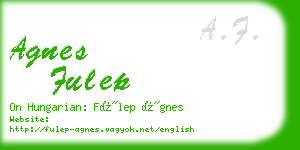 agnes fulep business card